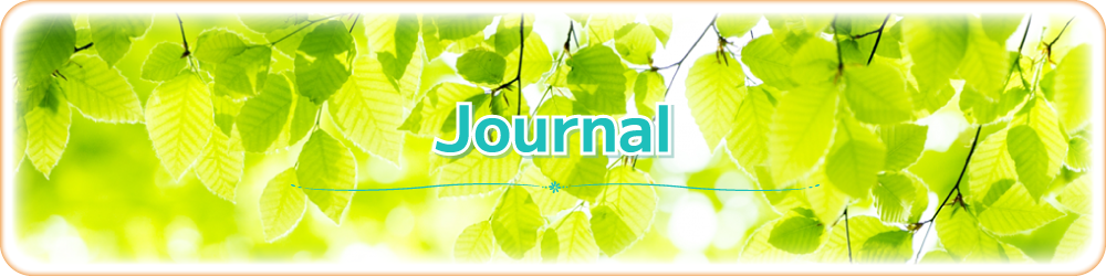 Journal
